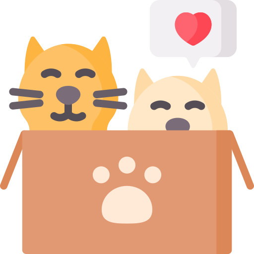 kitten.png kitten.png